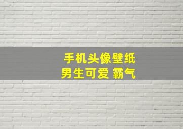 手机头像壁纸男生可爱 霸气